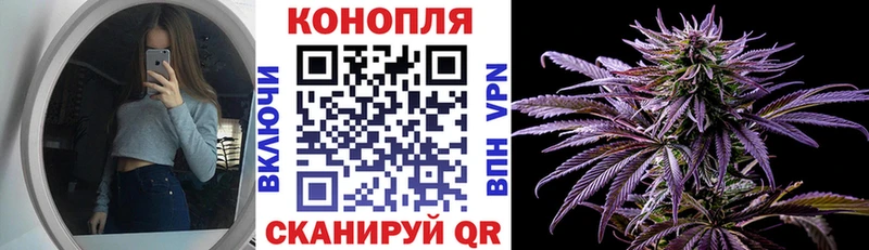 Конопля план  Купить закладки  Зуевка 
